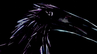 Raven creature